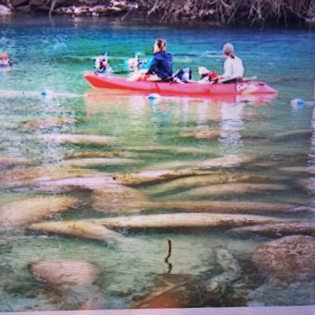 Apartmán Manatee Watch Den Crystal River Exteriér fotografie