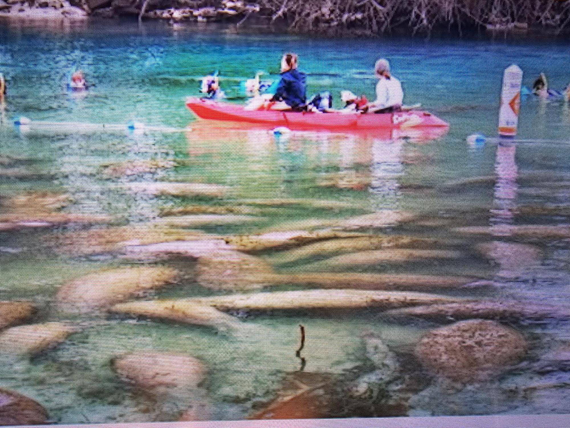 Apartmán Manatee Watch Den Crystal River Exteriér fotografie